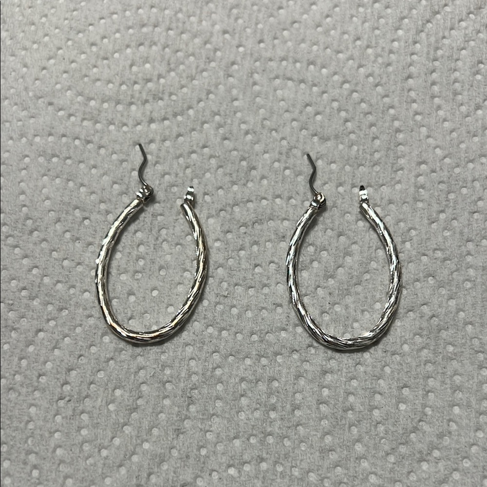 Elegant Silver Hoop Earrings
